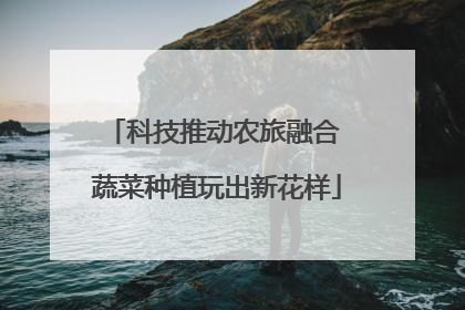 科技推动农旅融合 蔬菜种植玩出新花样